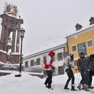 30.1.2010 10:22, autor: Halky